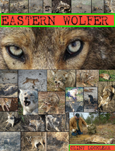 Load image into Gallery viewer, Eastern Wolfer, Coyote Trapping Book