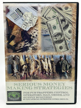 Load image into Gallery viewer, Serious Money Making Strategies DVD