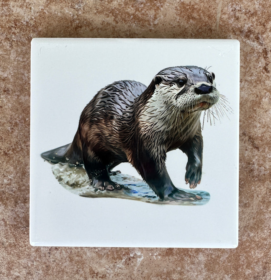 Otter Coaster