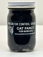 Load image into Gallery viewer, Cat Fancy
