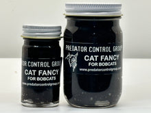 Load image into Gallery viewer, Cat Fancy
