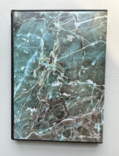 Load image into Gallery viewer, The Art of Professional Beaver Control- Beaver Trapping DVD
