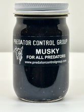 Load image into Gallery viewer, Musky Predator Lure
