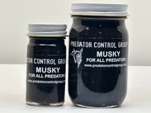 Load image into Gallery viewer, Musky Predator Lure
