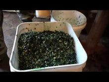 Load and play video in Gallery viewer, CAMOFLAUGE CORN
