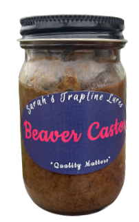 Beaver Castor – SheTraps